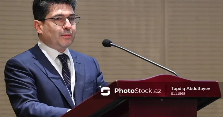 Замминистра экономики Азербайджана рассказал о перспективах маршрута TRIP для региона