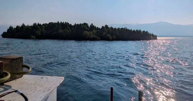 Xəritələrdə olmayan “üzən ada” tapıldı GÖRÜNTÜ