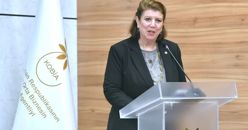 В ООН назвали модель разминирования Азербайджана передовой