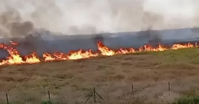 Bakıda güclü yanğın BAŞLADI