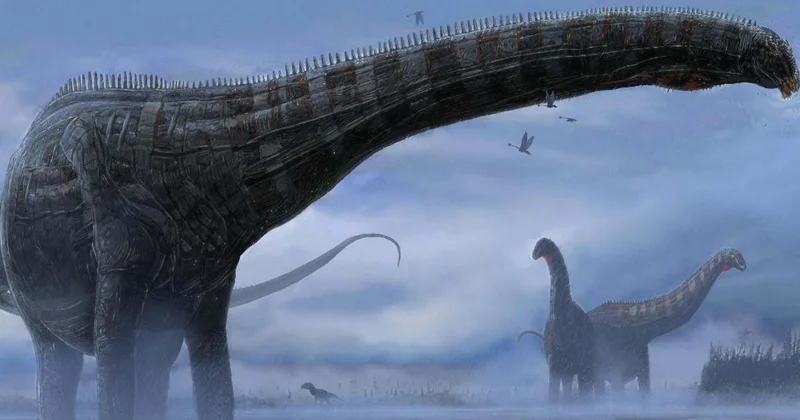 210 milyon illik yeni dinozavr növü kəşf edildi