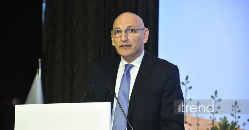 Minatəmizləmə fəaliyyəti beynəlxalq sülh gündəliyinin bir hissəsinə çevrilməlidir Elçin Əmirbəyov