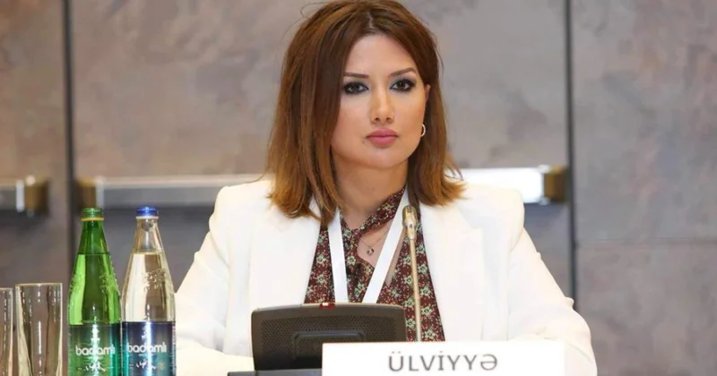 Siyasi şərhçi: Azərbaycanın beynəlxalq nüfuzu durmadan artır