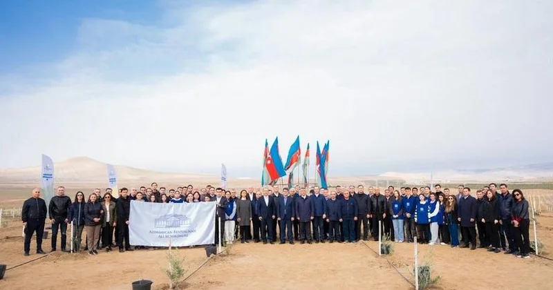 Müşfiqabadda ağacəkmə aksiyası keçirilib