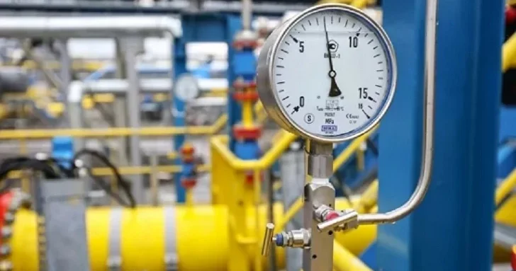 Байрактар указал на противоречивые шаги Европы в вопросе импорта азербайджанского газа