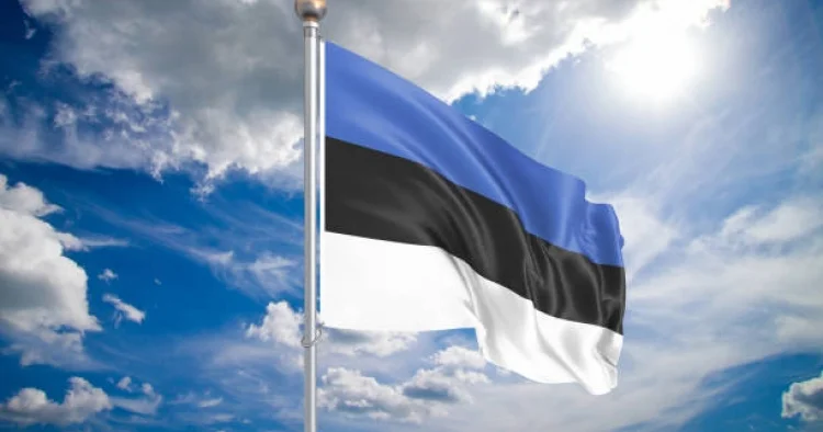 Estoniya 2027 ci ilə qədər dron əleyhinə divar tikəcək
