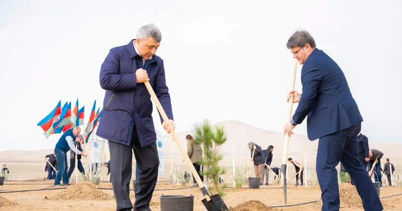 İnam Kərimov və Rəşad İsmayılov ağacəkmə aksiyasında FOTOLAR