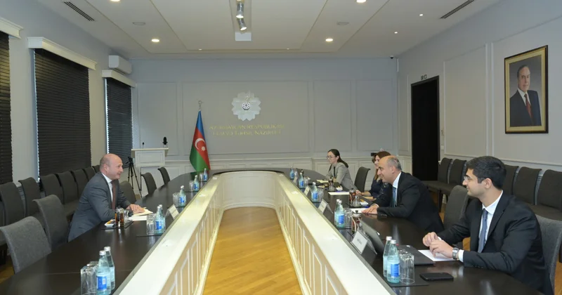 Emin Əmrullayev qlobal reytinq agentliyinin regional direktoru ilə görüşüb