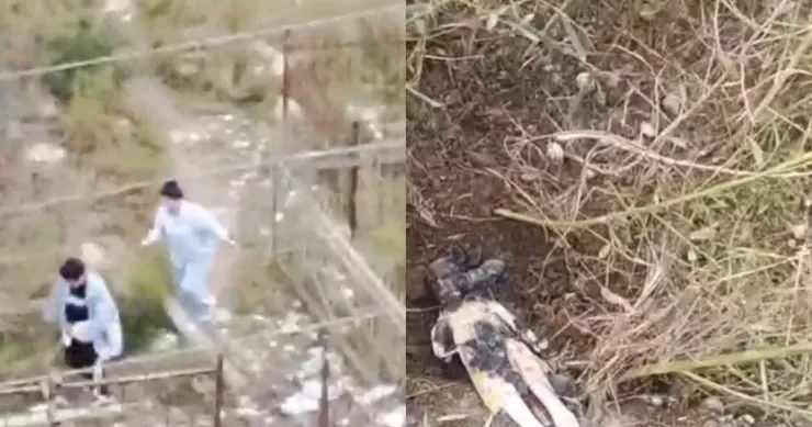 Bakıda qəbiristanlıqda cadu basdıran qadınların VİDEOSU