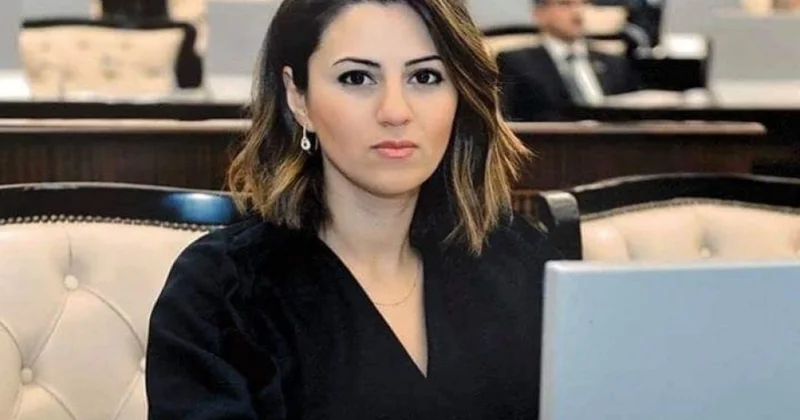 Azərbaycan İtaliya əlaqələri siyasi iradə və iqtisadi maraqların vəhdəti ilə inkişaf edir ŞƏRH