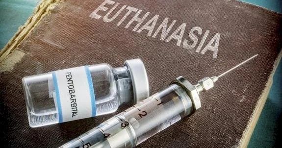 Azərbaycanda evtanaziyaya icazə VERİLƏCƏK? Deputatdan AÇIQLAMA