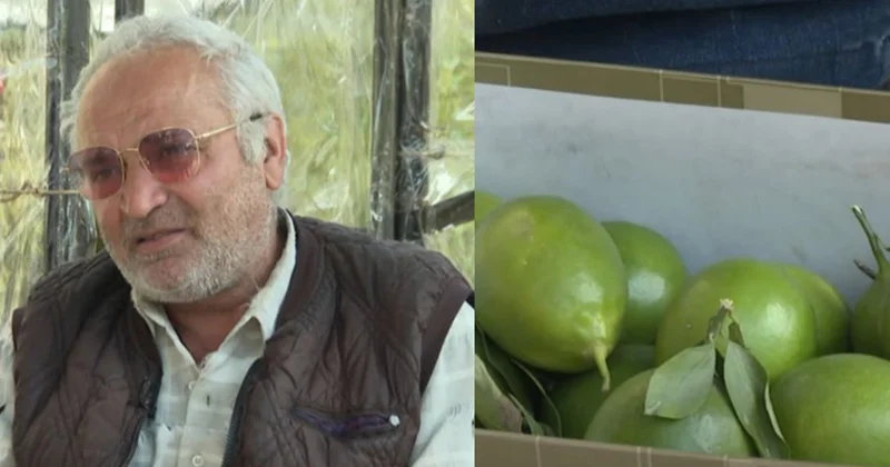 Limon satır, hesabında milyonu var Video