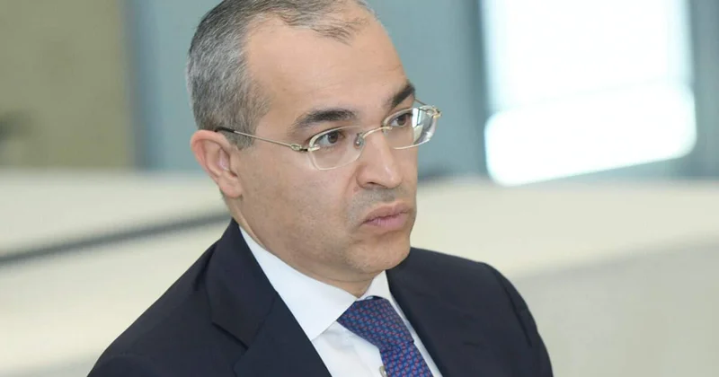 “İqtisadiyyatda 81% özəl sektorun payıdır” Nazir