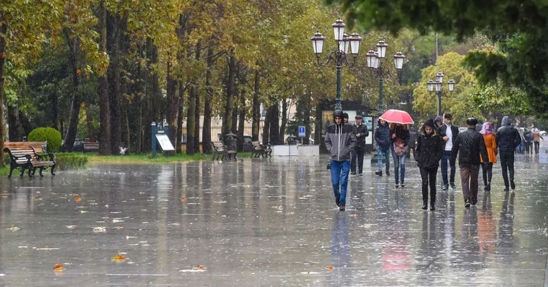 Погода на завтра