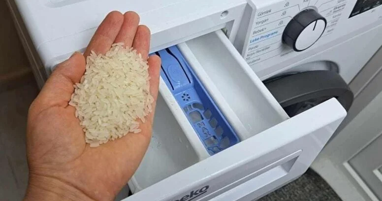 Paltaryuyan maşına 1 ovuc düyü qoyun və fərqi görün