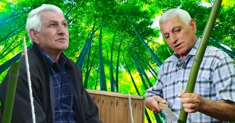 Lənkəranın bambuk bağının sahibi: “34 ildir ki, yetişdirirəm, məndən sonra övladlarıma qalacaq” FOTOLAR