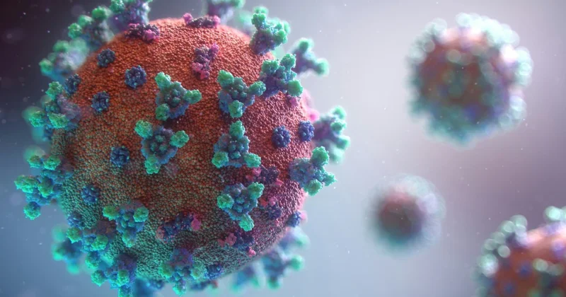 Britaniyada təhlükəli virus yayılıb