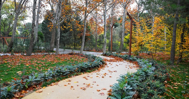 Oktyabrda hava necə olub?