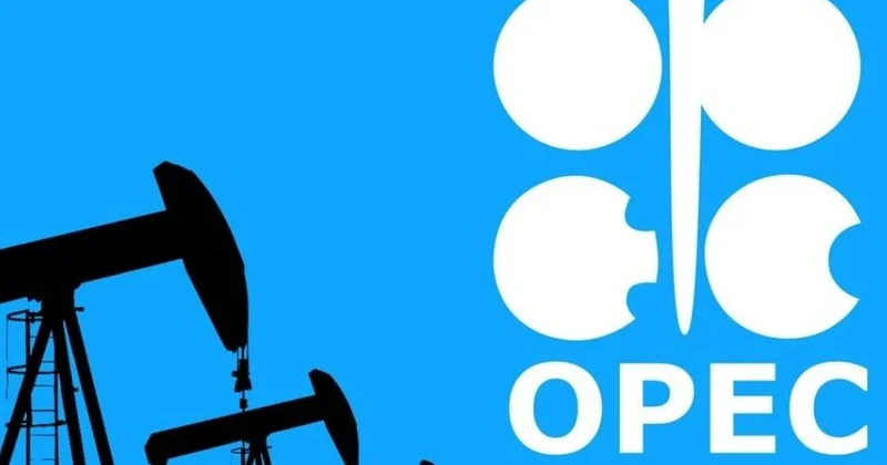 ОПЕК+ прогнозирует увеличение нефтяного спроса Minval Politika