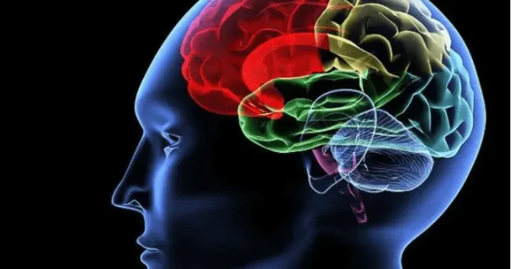 Yuxuya gedərkən eşidilən səslər və görünən təsvirlər beynin fəaliyyəti ilə bağlıdır Mütəxəssis