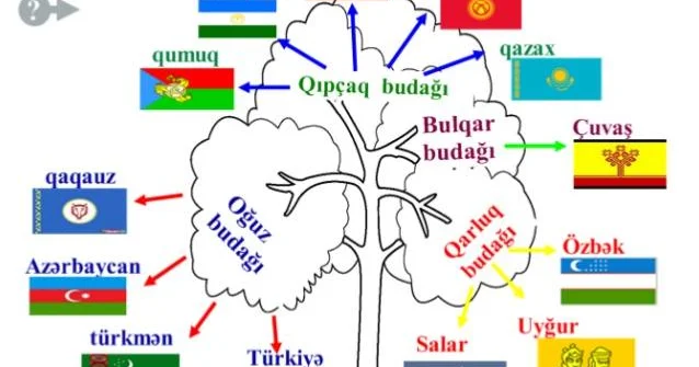 YUNESKO 15 dekabr gününü Türk Dili Ailəsi Günü elan etdi