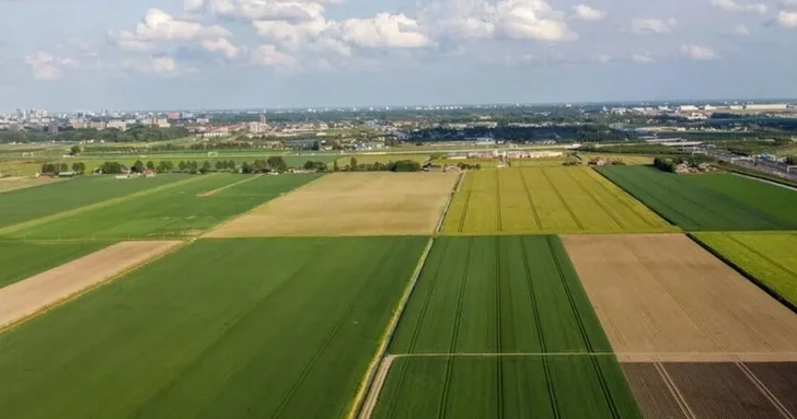 Государственная служба по вопросам имущества объявила о масштабном земельном аукционе