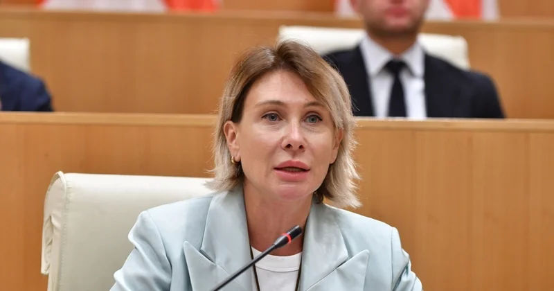 Gürcü vitse spiker erməni deputatları tənqid edib