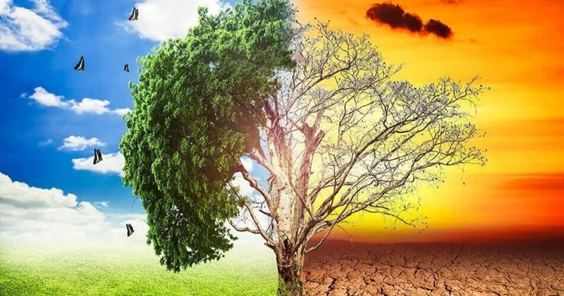 Azərbaycan iqlim dəyişiklikləri ilə mübarizə aparır AYDINLIQ GƏTİRİLDİ