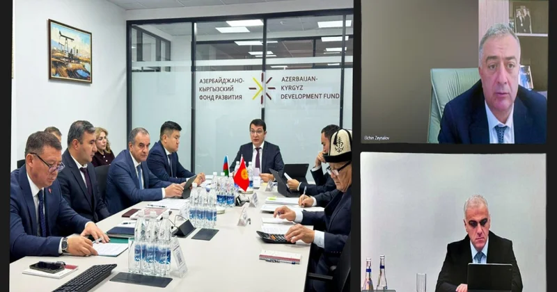 Azərbaycan Qırğız İnkişaf Fondunun maliyyələşdirdiyi layihələr açıqlanıb