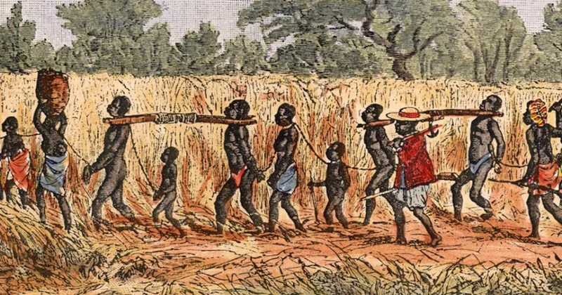 Niderland krallığı keçmişdəki qəddar koloniya siyasətindən bu gün də faydalanır