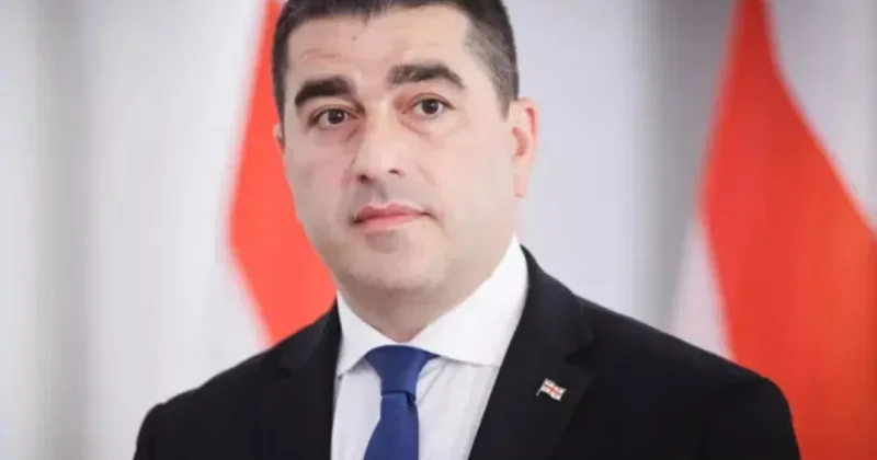 Папуашвили о лидере оппозиции: Если он такой патриот, пусть расторгнет контракт с послом Германии