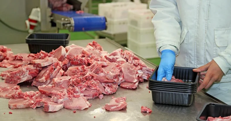 Əti hansı qida əvəz edə bilər?