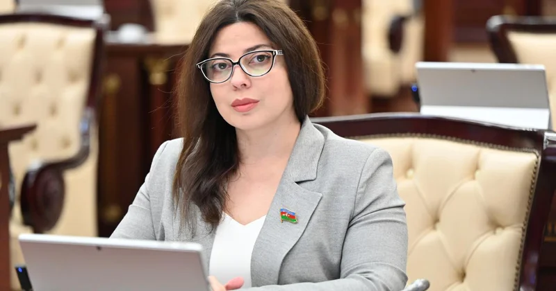 Prezidentin AMEA da çıxışı Azərbaycan elmi üçün yol xəritəsidir Səbinə Salmanova