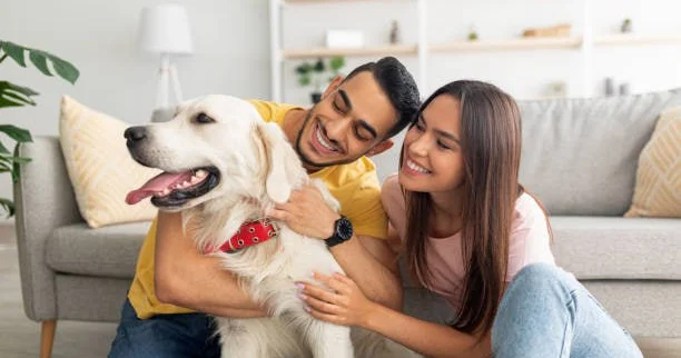 Zamanın acı REALLIĞI Gənclər niyə uşaq yox, ev heyvanı böyütməyə üstünlük verir?