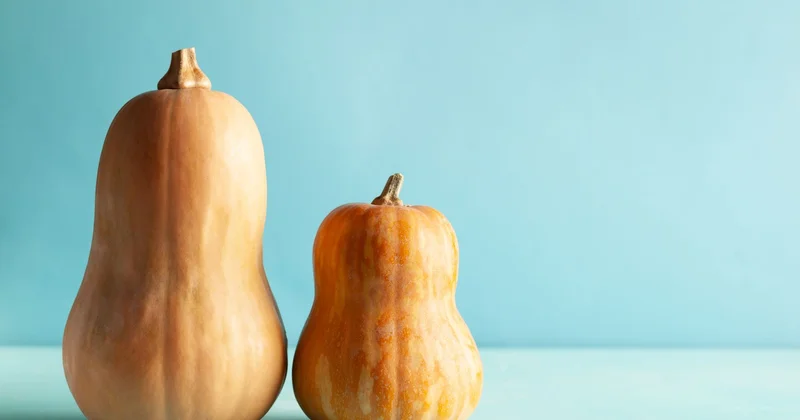 50 qəpiyə olan balqabaq Bakıda niyə 3 manata satılır? KONKRET