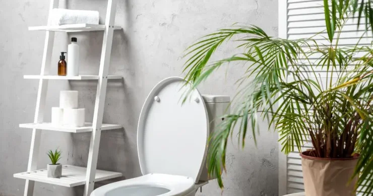 İstifadə etmədikdə unitazın qapağını bağlamaq lazımdırmı?