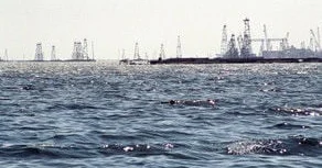 Xəzər yox, “Mazandaran dənizi” var Məhəmmədi