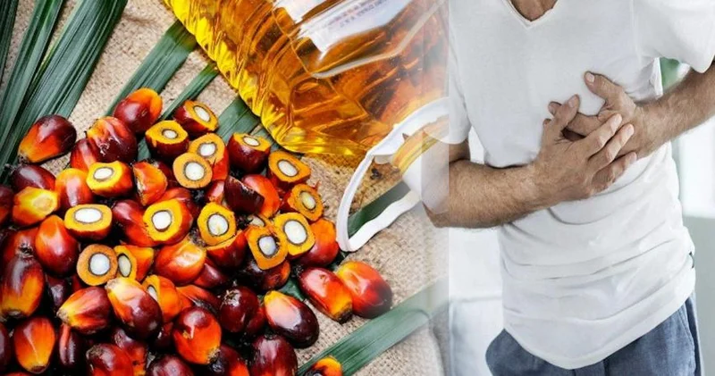 Palma yağları: nə olar, nə olmaz?