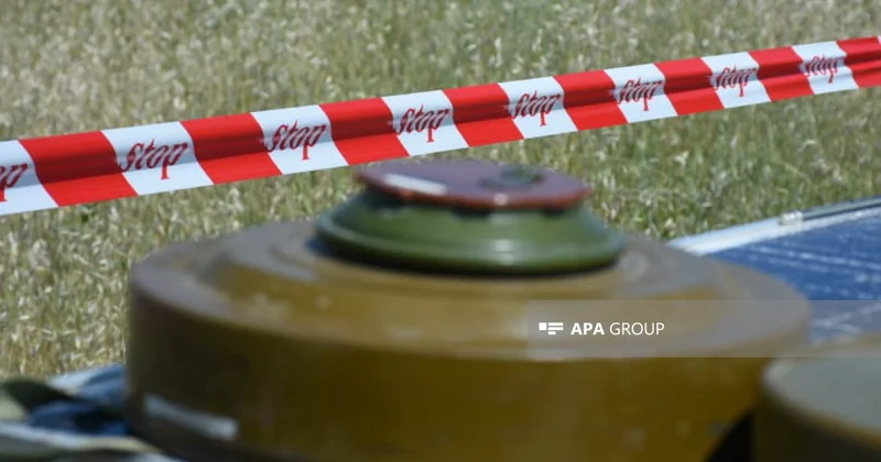 Azad edilmiş ərazilərdə ötən ay 770 mina, 12 298 PHS aşkarlanıb