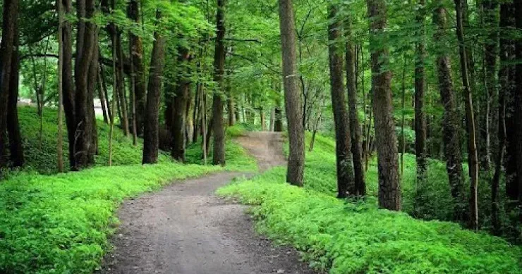 17 ildir itkin düşən və öldüyü güman edilən şəxs dağlarda tapıldı