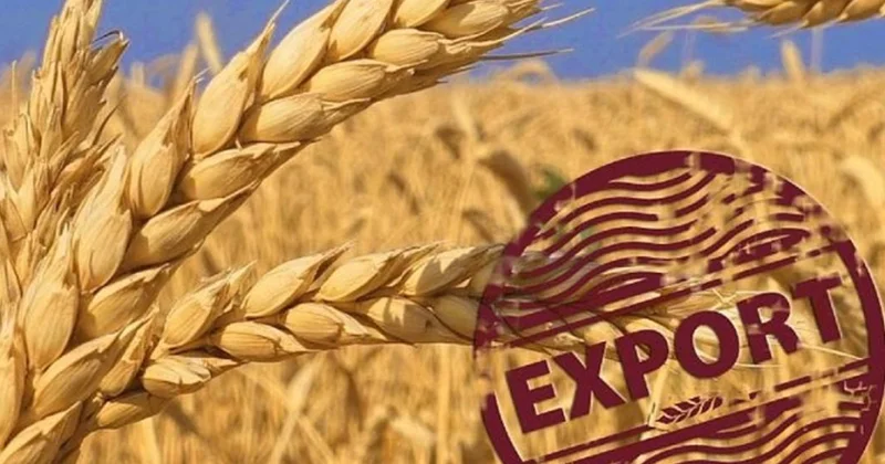 Qazaxıstan Azərbaycana taxıl tədarükünü üç dəfə artırıb