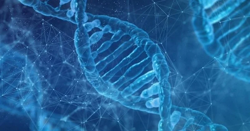 Alimlər kriminalistlərə kömək edən DNT aləti yaradıblar