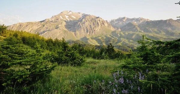 Perunun cəngəlliklərində piramidaya bənzər mükəmməl formalı dağ aşkar edilib