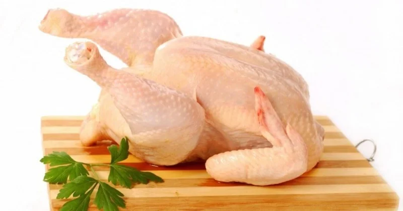 “Bu toyuqların satışı tam təhlükəsizdir” KONKRET