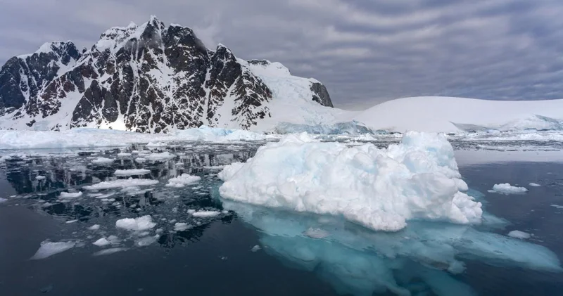 Antarktida əriyir: Bütöv şəhərlər su altında qala bilər Tarix açıqlandı