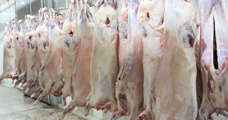 Quzu əti Monqolustandan Azərbaycana neçəyə gətirilir? Bazarda 76% baha satılır