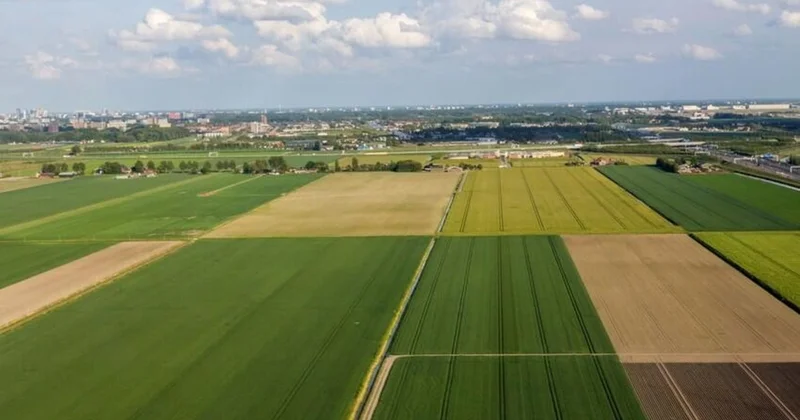 Dövlət Xidməti torpaq hərracları keçirəcək