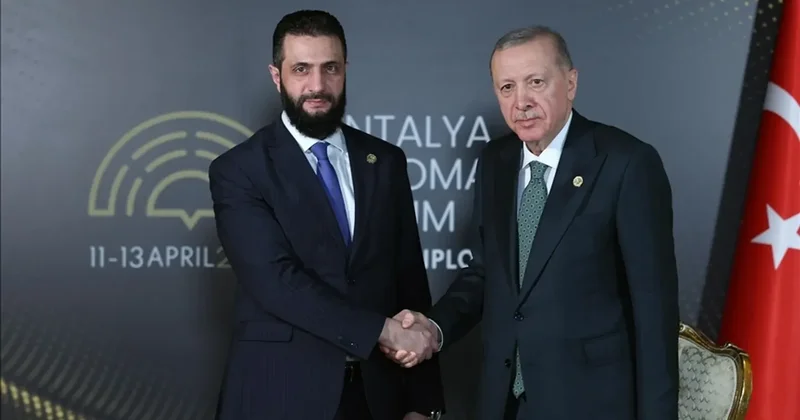 Эрдоган объявил о запуске программы поддержки Сирии