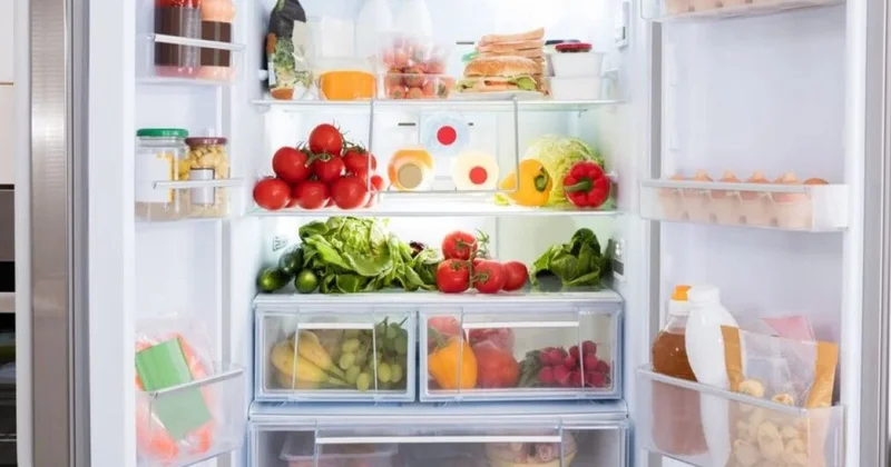 Qidaların təzə qalması üçün ideal soyuducu temperaturu