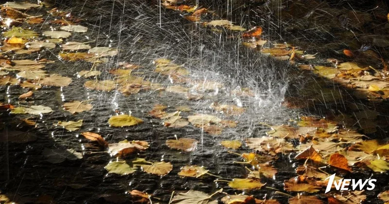 Погода на вторник: В Баку ожидаются ливни